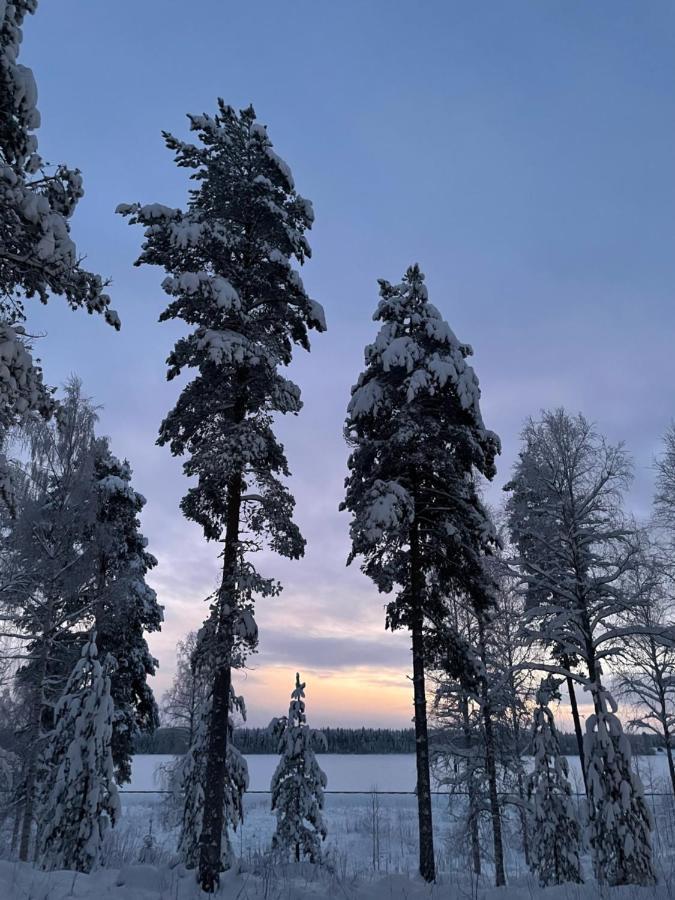 Вилла Rieskapaikka Koivu Экстерьер фото